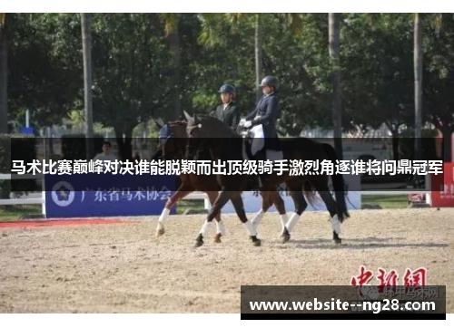 马术比赛巅峰对决谁能脱颖而出顶级骑手激烈角逐谁将问鼎冠军